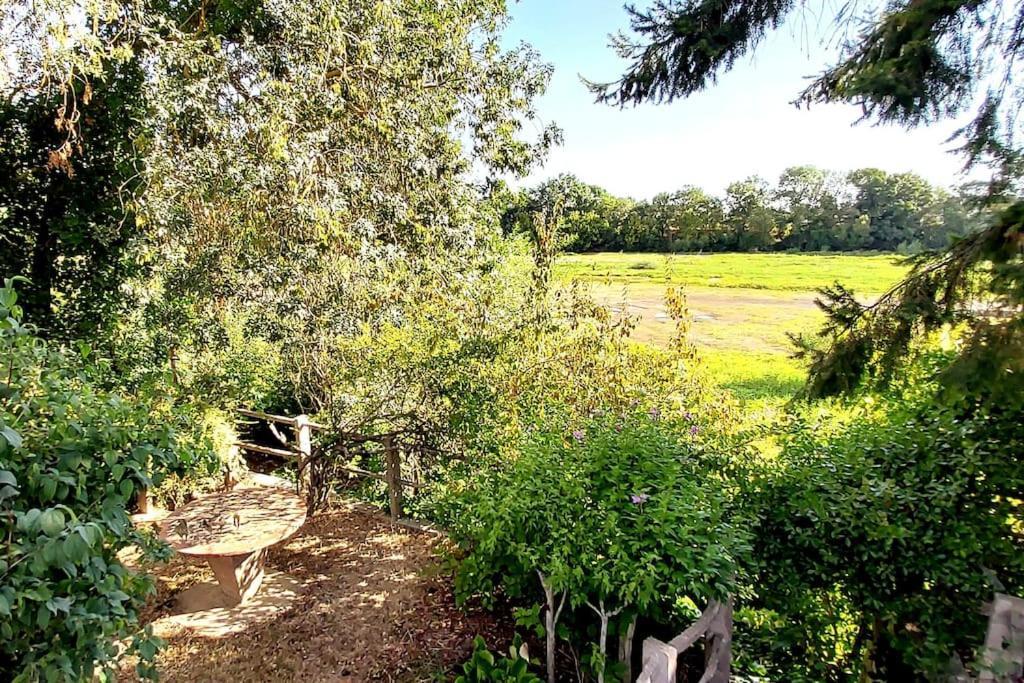 Le Bois Flotte - Maison Au Coeur De La Loire Entre Ville Et Nature 索米尔 外观 照片